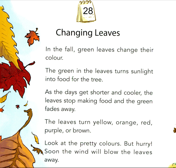 [October 28th] WRITE and TRANSLATE The Story – JC English Center